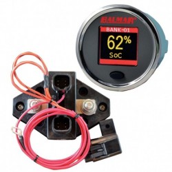 Balmar SG200 Battery Monitor Kit w/Display Shunt & 10M Cable - 12-48 VDC