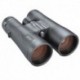 Bushnell 12x50mm Engage Binocular - Black Roof Prism ED/FMC/UWB
