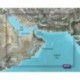 Garmin BlueChart g3 Vision HD - VAW450S - The Gulf - microSD /SD