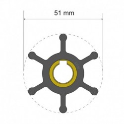 Albin Pump Premium Impeller Kit - 51 x 12.7 x 22mm - 6 Blade - Key Insert