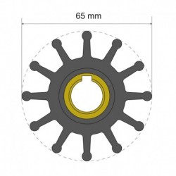 Albin Pump Premium Impeller Kit 65 x 15.8 x 51mm - 12 Blade - Key Insert