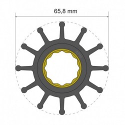 Albin Pump Premium Impeller Kit 65.8 x 25 x 80mm - 12 Blade - Spline Insert