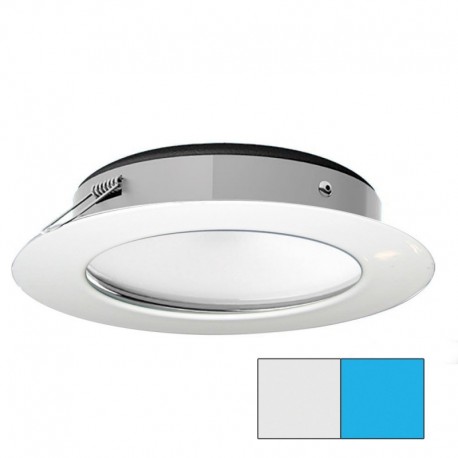 i2Systems Apeiron Pro XL A526 - 6W Spring Mount Light - Cool White/Blue - White Finish