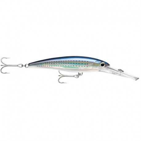 Rapala X-Rap Magnum 15 Spotted Minnow