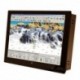 Seatronx 21" Wide Screen Sunlight Readable Touch Screen Display