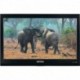 Jensen 19" LED Television - 12V DC